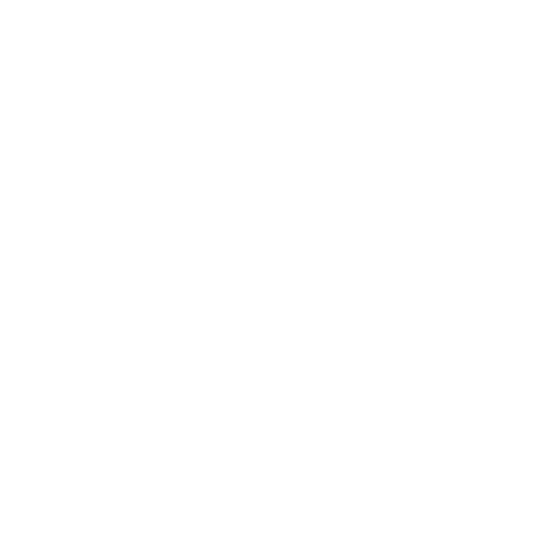Pizza Icon