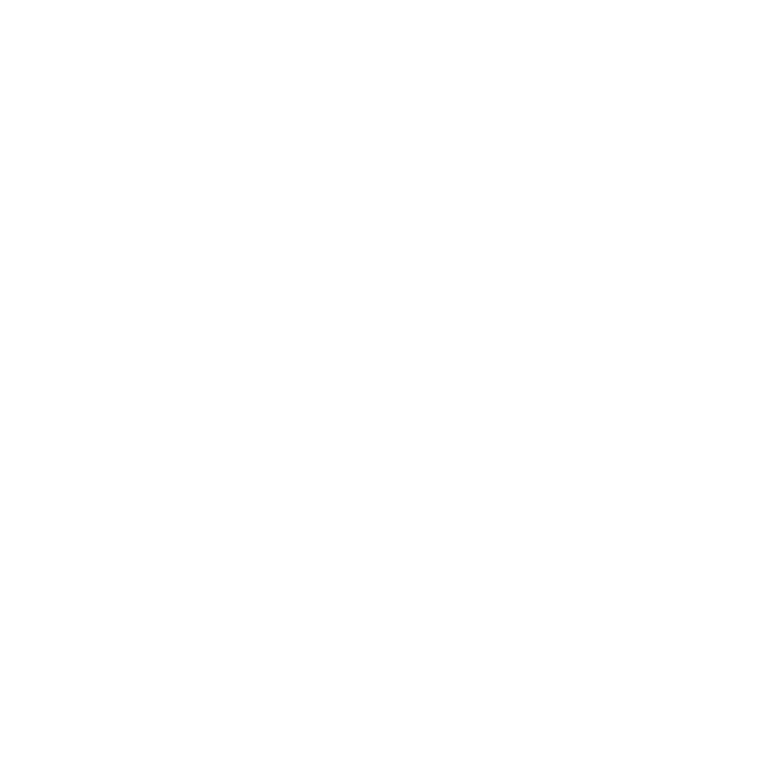 Pizza Icon