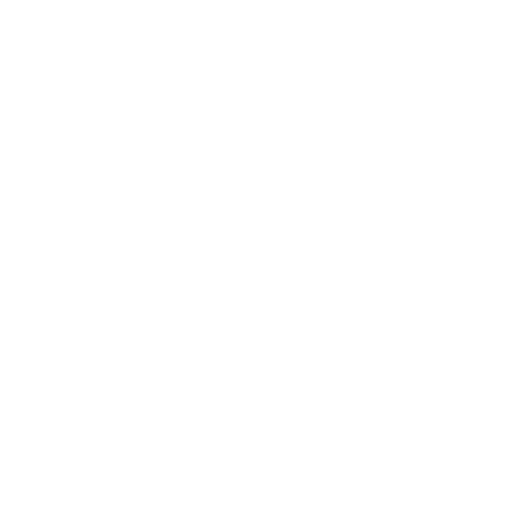 salad Icon